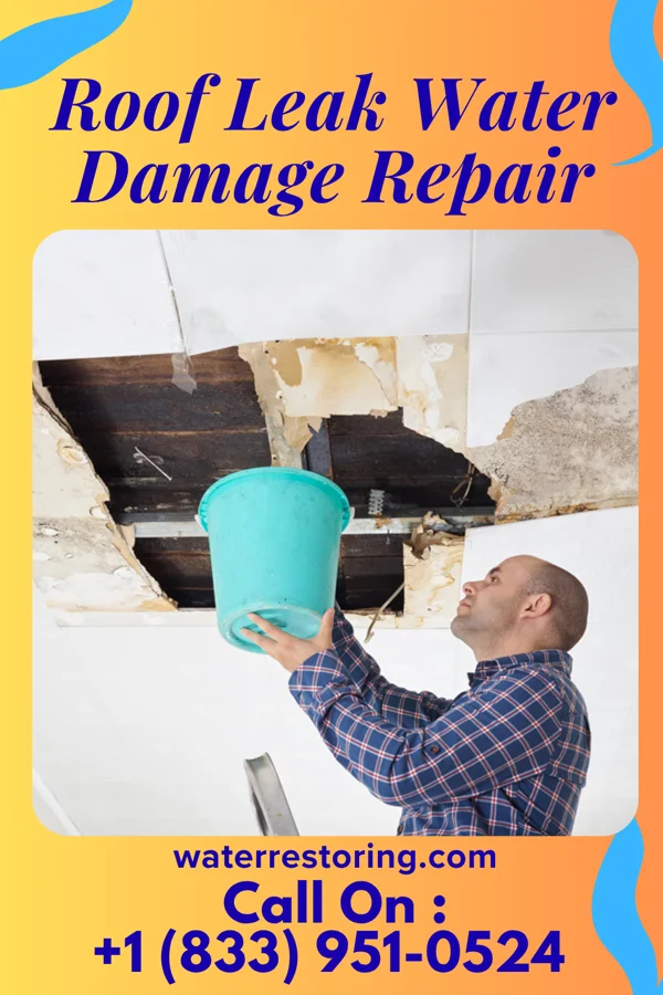 Roof Leak Water Damage Repair in Illiopolis, IL